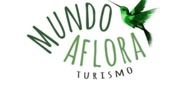 Mundo Aflora - Foto 1